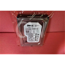 Cargar imagen en el visor de la galería, Dell H962F 0H962F 250GB 7.2K RPM 3Gb/s 16MB 3.5&quot; SATA Hard Drive WD2502ABYS-FoxTI
